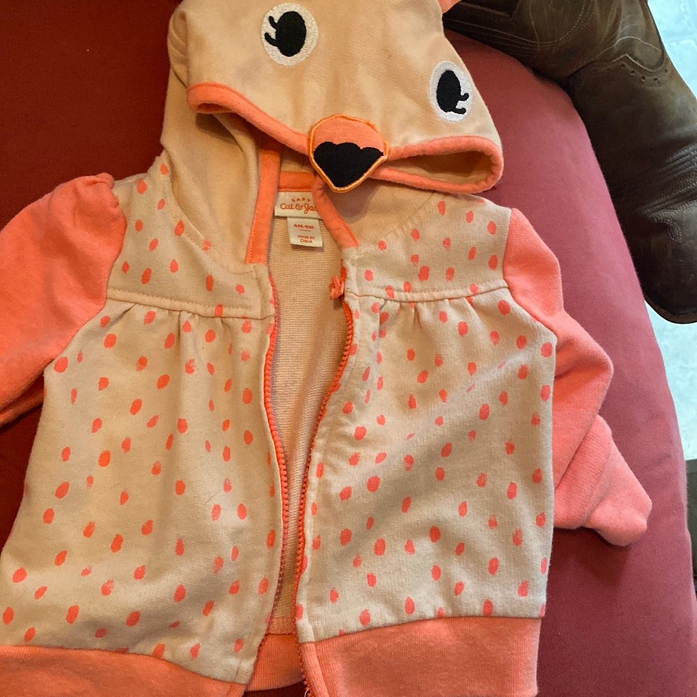 Flamingo, hoodie, cat, and jack
